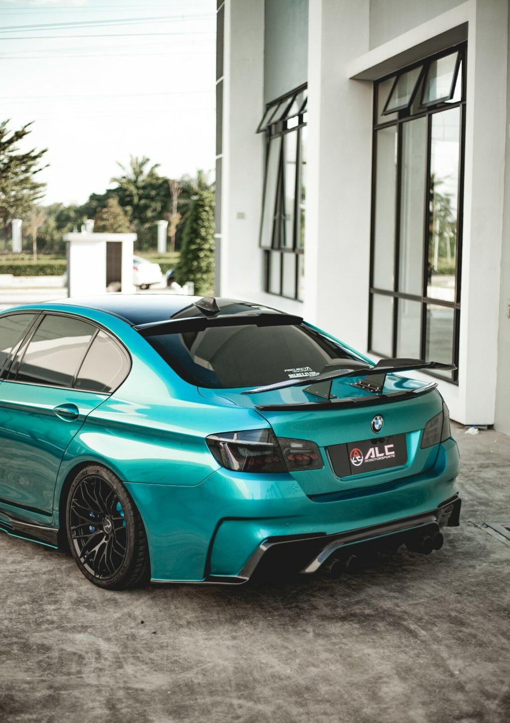 Universal Carbon Swan Neck GT Wing