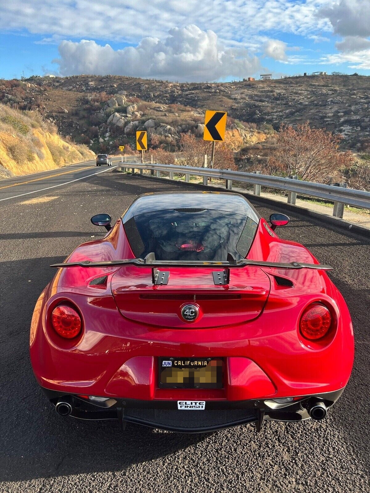 Universal Carbon Swan Neck GT Wing